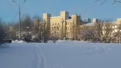 Своя лыжня