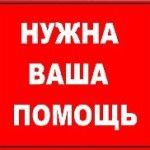 Объявлен сбор средств на похороны Любы Шастиной