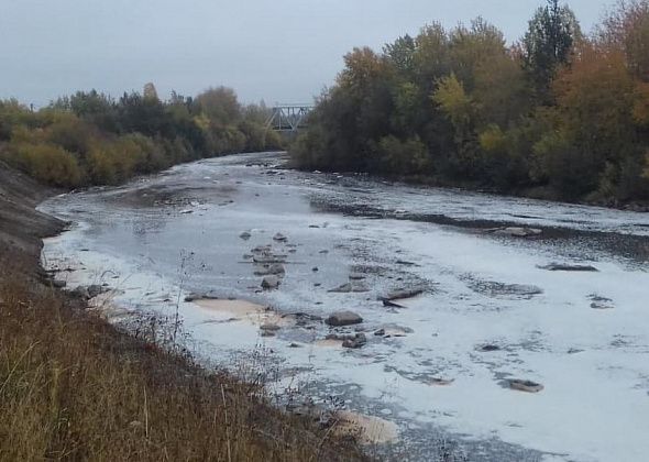 "Это преступление продолжается годами". Прокуратура и Минприроды проверят новолялинский целлюлозно-бумажный комбинат и состояние реки Ляля
