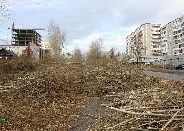 В суд Серова поступил иск защитников тополей на улице Заславского. Но его пока оставили без движения 