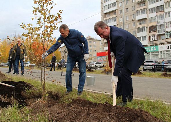 «Город-сад». В Серове активно применяются современные методы озеленения городского пространства. Цветов и деревьев в округе становится больше