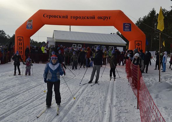 На Крутом логу в Серове построят лыжероллерную трассу