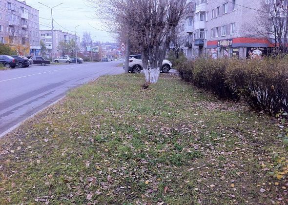 Администрация Серова провела субботник, после которого осталось много листвы