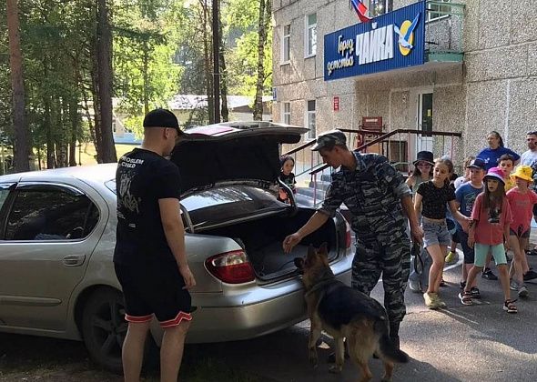 Необычный летний урок провели кинологи серовского отдела полиции с ребятами, отдыхающими в Городе детства «Чайка»