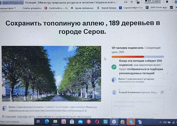 Опубликована петиция, призывающая сохранить в Серове тополиную аллею