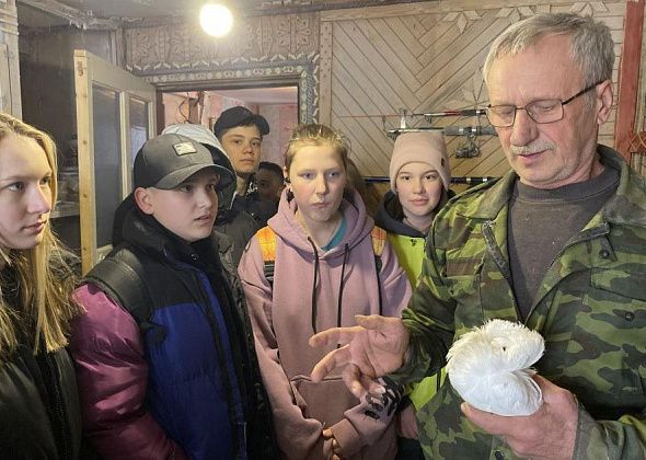 В Серове урок биологии для семиклассников провели в... голубятне