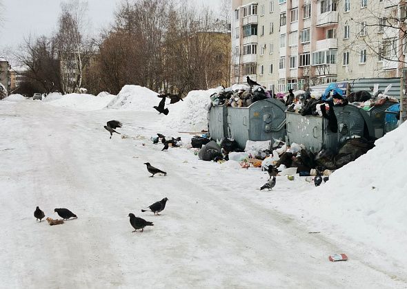 Серовчане жалуются на не вывезенный мусор с контейнерной площадки в центре города