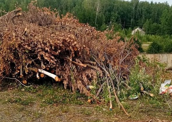 «Люди свалку начинают устраивать». Серовчанку интересует, когда с водохранилища вывезут вырубленный кустарник