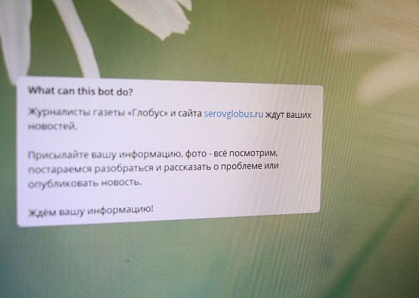 У газеты «Глобус» заработал Telegram-бот. Сообщайте журналистам об интересном