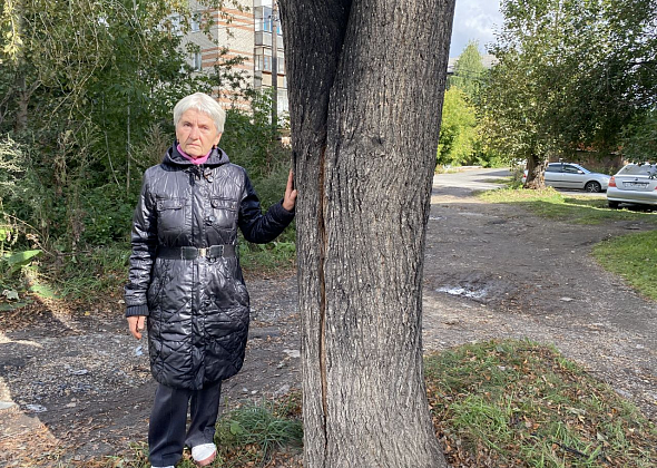 Серовчанка задается вопросом: "Зачем убрали липу?"