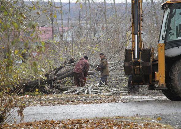 Тополиная аллея – все... В Серове на улице Заславского валят тополя