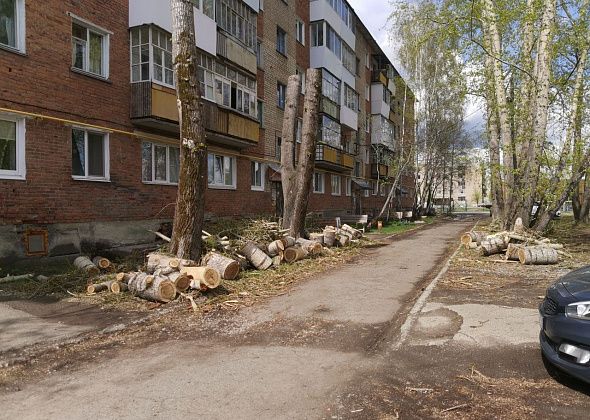 В поселке Энергетиков кронировали часть тополей, на которые жаловались люди