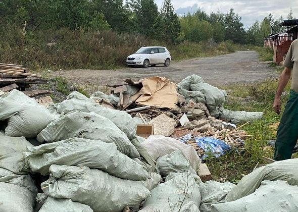 "Хочется наказать тех, кто это делает". Серовчанин пожаловался на стихийную свалку в районе гаражей на Первом разъезде