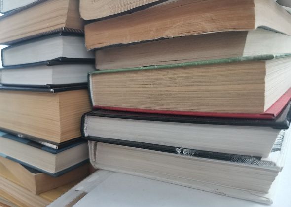 Централизованная библиотечная система Серова закупает еще 1027 книг