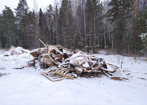 "Они повезут еще". Обнаружили свалку у Поляны любви в Серове