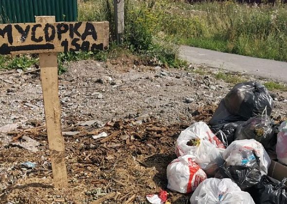 Привычка быть свиньей?.. Серовчане устроили свалку на месте перенесенных контейнеров