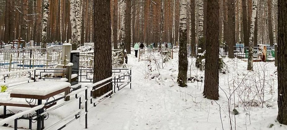 Что посадить, что покрасить, что зашпаклевать? Как подготовить могилку к зиме