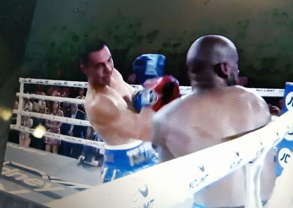 Боксер Тимофей Цзю стал временным чемпионом мира в первом среднем весе по версии WBO