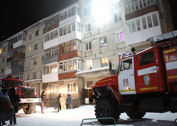 В субботнем пожаре пострадали серовчанка и ее сын
