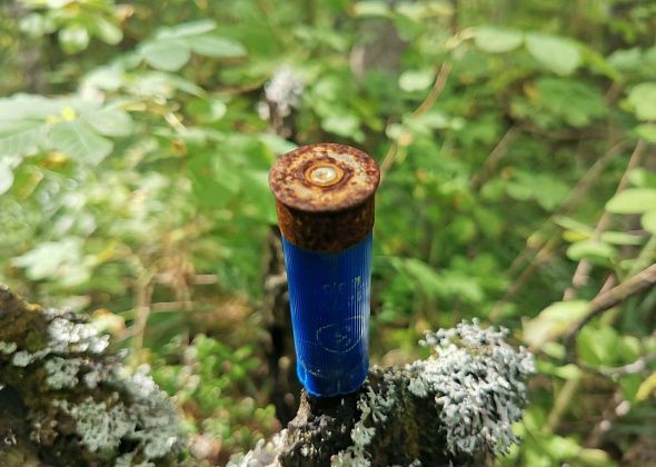 В Серове осудили жителя Магина за незаконное изготовление боеприпасов для забоя сельхоз животных