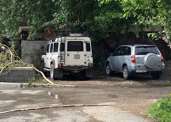 Серовчанин переживает, что падающие ветки могут травмировать прохожих или повредить автомобили