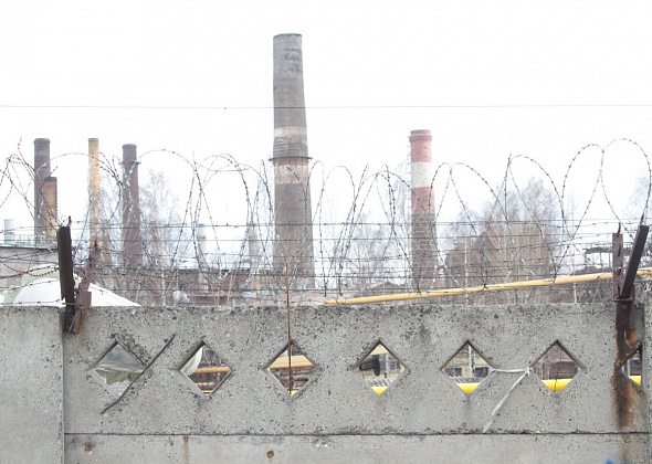 Устраивает ли серовчан экологическая обстановка в городе? Опрос