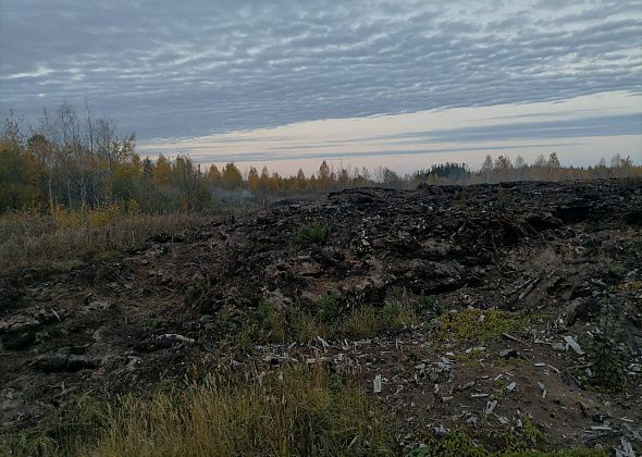 "Ночью и утром не продохнуть – все в дыму". Под Новой Колой тлеет отвал бывшей лесоперевалочной базы