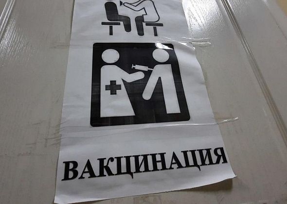 В Серове можно привиться от клеща за деньги. Бесплатной вакцины в городе нет