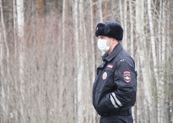 Сотрудники Госавтоинспекции Серова за неделю выявили больше 500 административных правонарушений