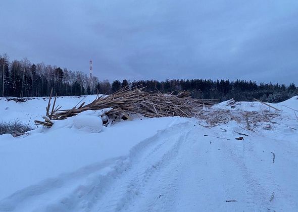 Серовское лесничество обратилось в полицию из-за свалки горбыля