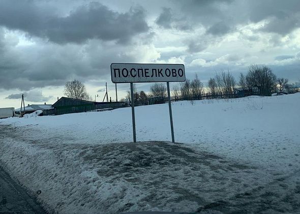 Под лед реки Сосьвы провалилась собака. Ей нужна помощь