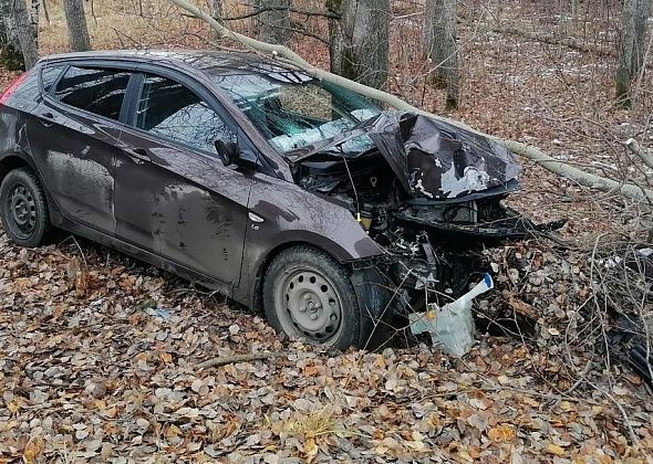 В Морозково иномарка вылетела с дороги и врезалась в дерево. В результате ДТП пострадала пенсионерка