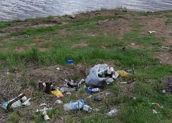 Нанося вред живому, мы делаем больно