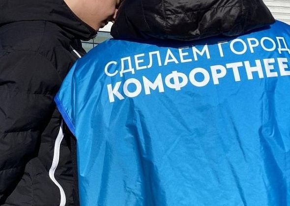 В Серове за благоустройство объектов голосуют дети младше 14 лет? Волонтеры идут по школам