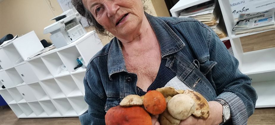 «И жарить, и солить можно». Жительница Морозково рассказала о начале грибного сезона