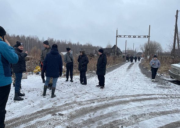 Сестра пропавшей Анастасии Булгаковой про найденную голову: “Не она, сто процентов”