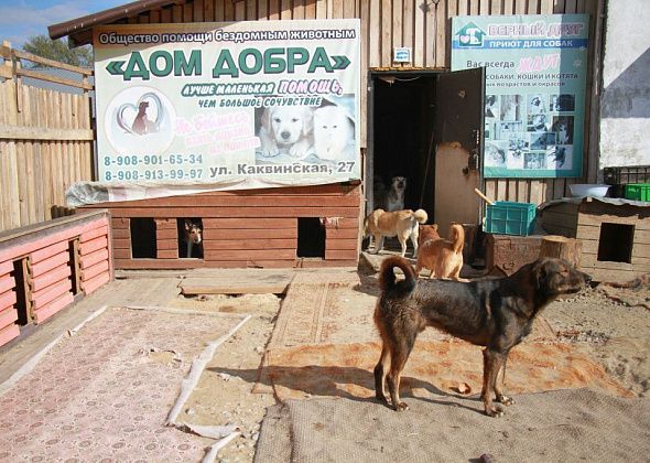 Рядом с серовским приютом для бездомных животных загорелся мусор