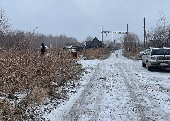 Виноваты дикие животные? Полиция и охотинспектор комментируют обнаружение головы под Серовом