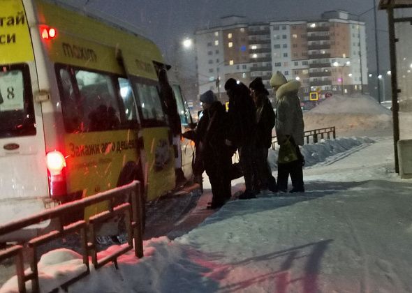 Серовское отделение ЛДПР обратилось в ФАС из-за грядущего поднятия цен на проезд в маршрутках
