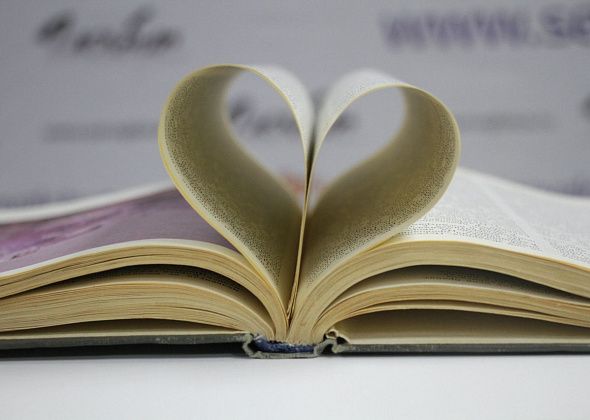 Централизованная библиотечная система Серова закупит 736 книг на 260 тысяч рублей