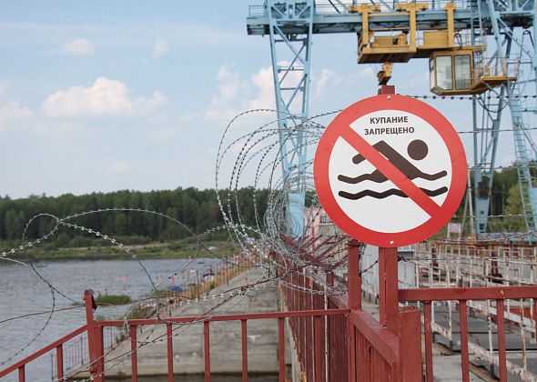 В районе серовского водохранилища видели медвежонка