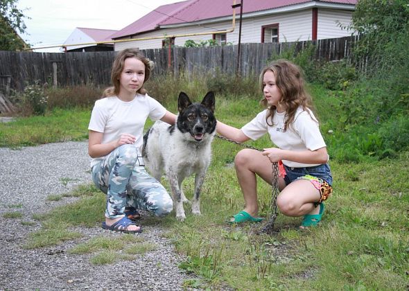 Юные серовчанки спасли и выходили птенца сороки. А еще голубя, воробьев и двух щенков