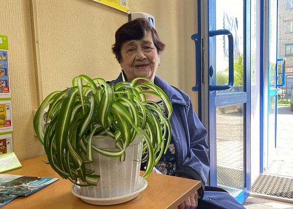 В редакции "Глобуса" появился новый комнатный цветок - подарок подписчицы