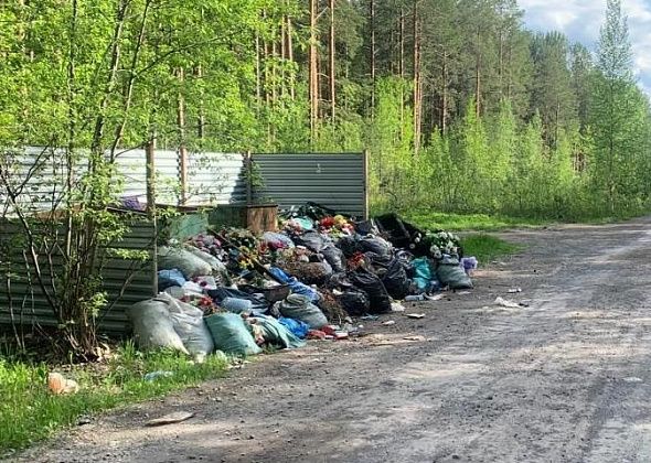 «Такой бардак...» Серовчанин пожаловался на мусорные завалы на городском кладбище