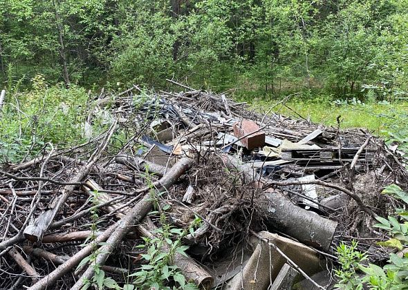 Серовчане жалуются на свалки, которые находятся за городским кладбищем