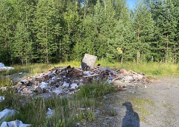 За полгода в Серовском городском округе ликвидировано 67 несанкционированных свалок