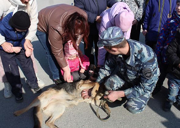 В Серове проходит акция «Твой выбор». Юным горожанам рассказывают о принципах правильного поведения