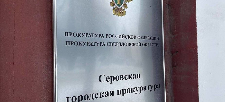 Прокуратура начала проверку из-за нападения собаки на ребенка в Серове