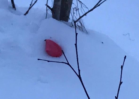 Под суд пошел житель Нижнего Тагила, который делал наркозакладки в Серове