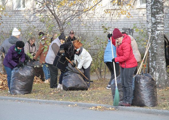 «Хочется призвать жителей беречь наш город». В Серове начались осенние субботники